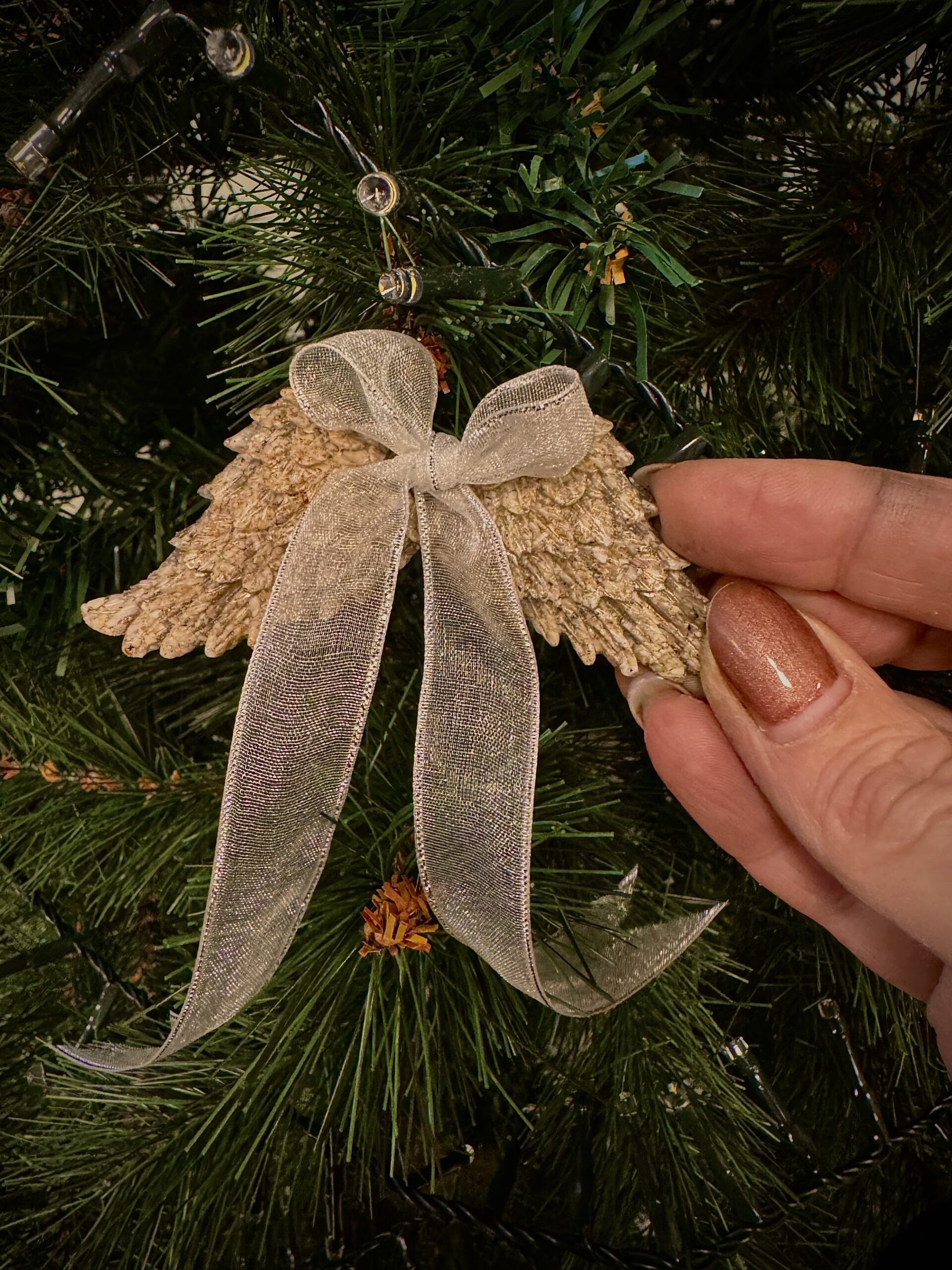 Asornament engelenvleugels