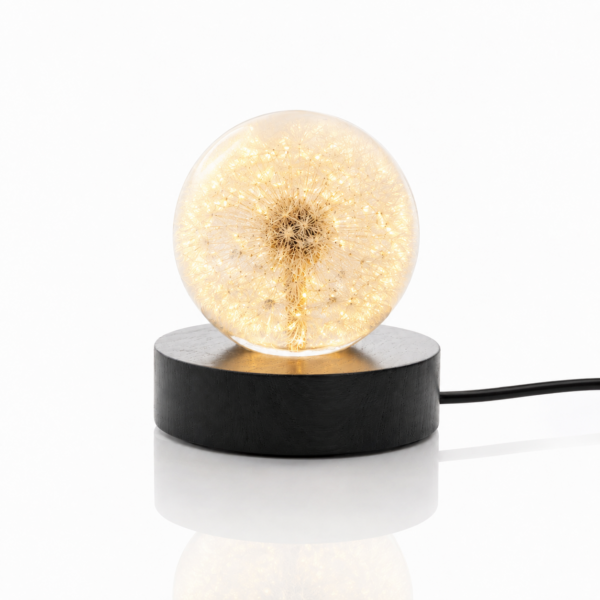 as-ornament lampje paardenbloem
