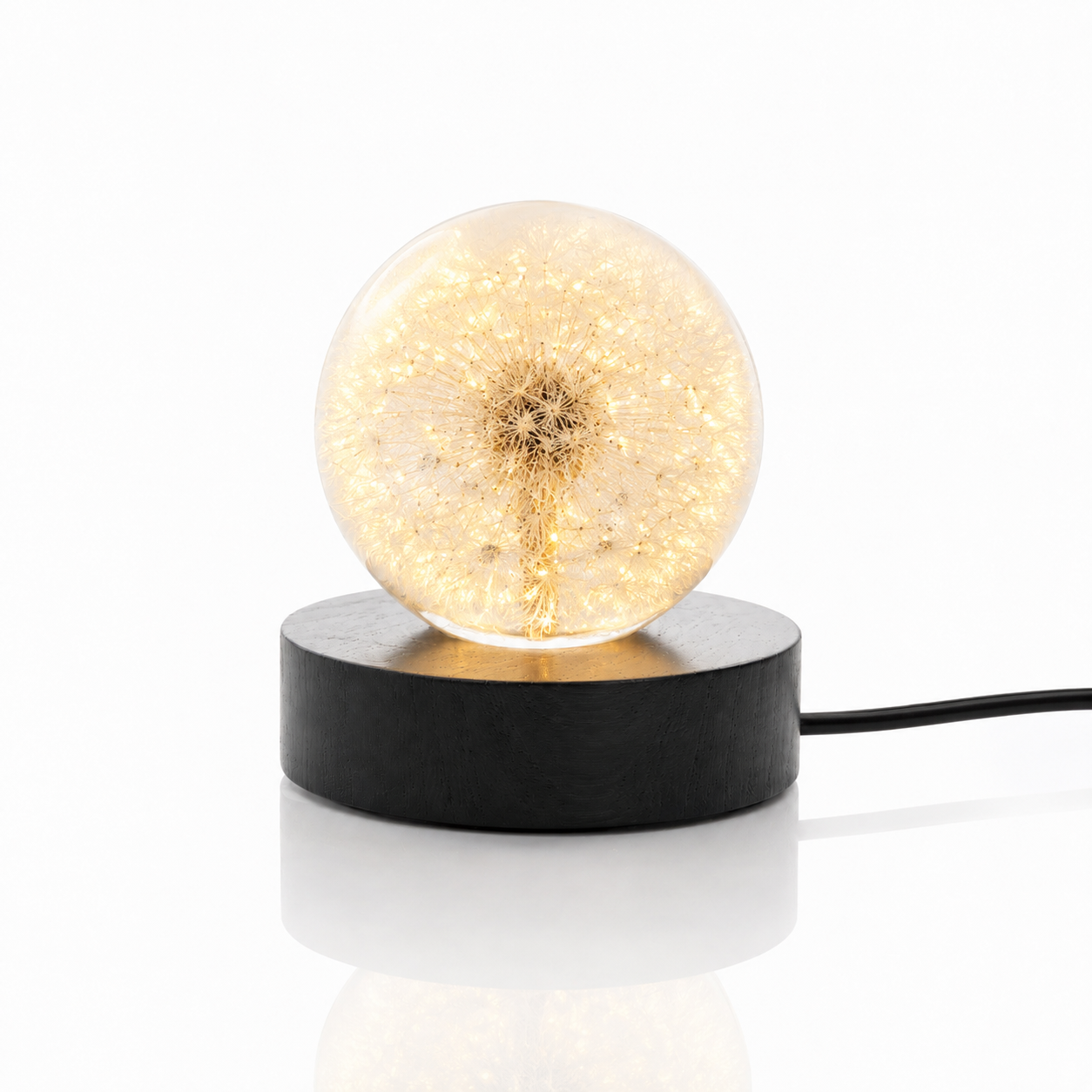 as-ornament lampje paardenbloem